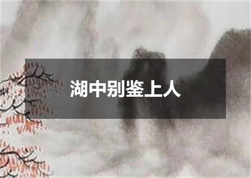 湖中别鉴上人