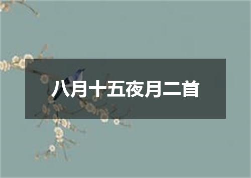 八月十五夜月二首