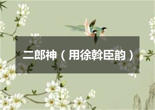 二郎神（用徐斡臣韵）