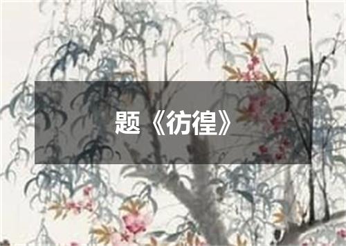 题《彷徨》