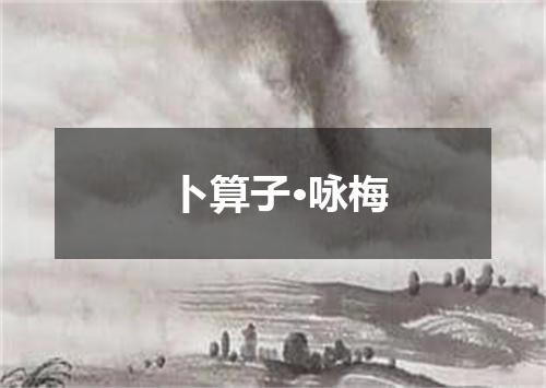 卜算子·咏梅