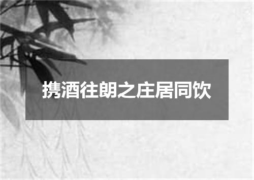 携酒往朗之庄居同饮