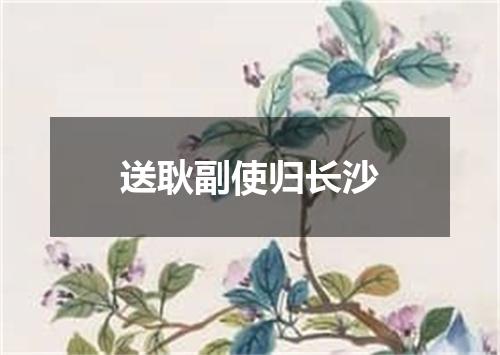 送耿副使归长沙