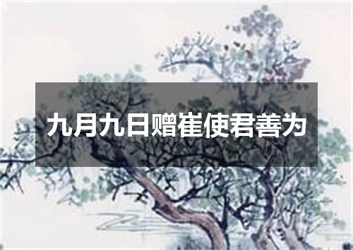 九月九日赠崔使君善为