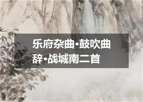 乐府杂曲·鼓吹曲辞·战城南二首