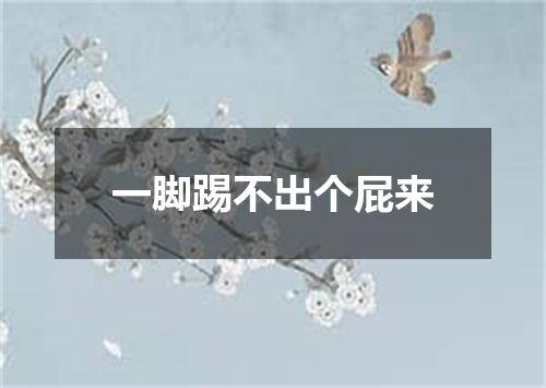 一脚踢不出个屁来