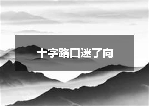 十字路口迷了向