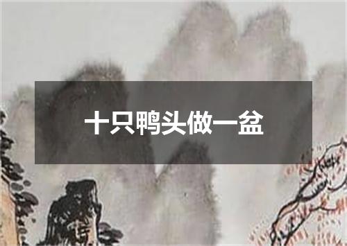 十只鸭头做一盆