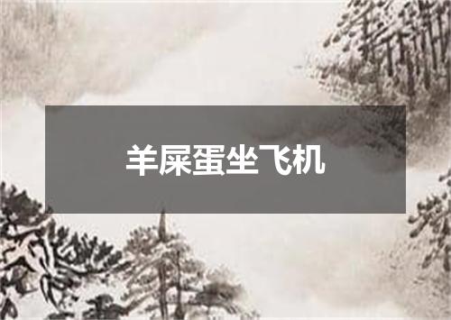 羊屎蛋坐飞机