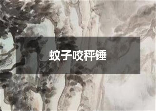 蚊子咬秤锤