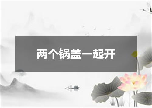两个锅盖一起开