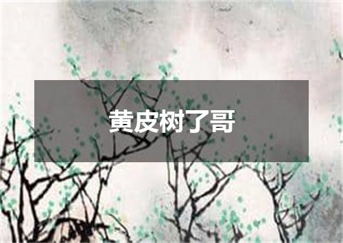黄皮树了哥