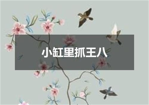 小缸里抓王八