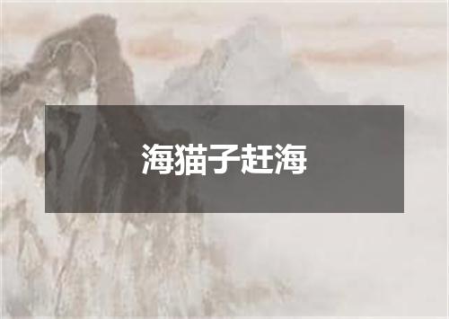 海猫子赶海