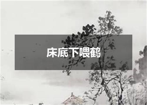 床底下喂鹤