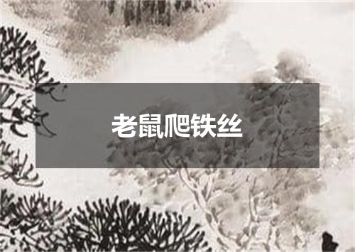 老鼠爬铁丝