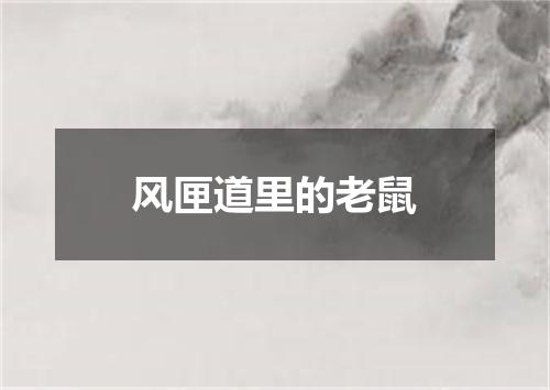 风匣道里的老鼠