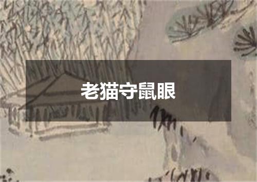 老猫守鼠眼