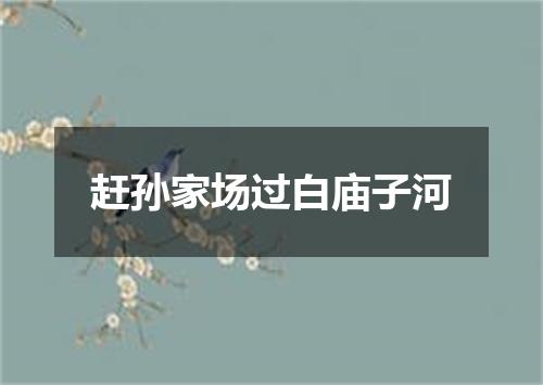赶孙家场过白庙子河
