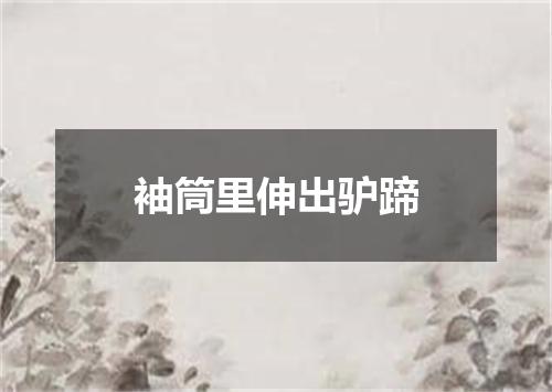 袖筒里伸出驴蹄