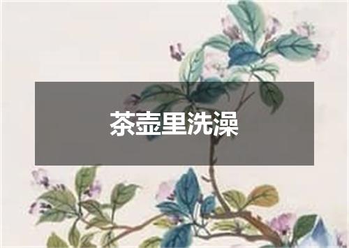茶壶里洗澡