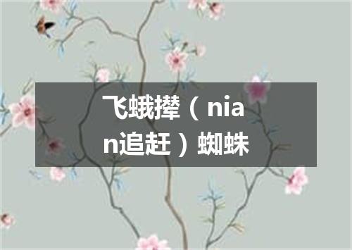 飞蛾撵（nian追赶）蜘蛛
