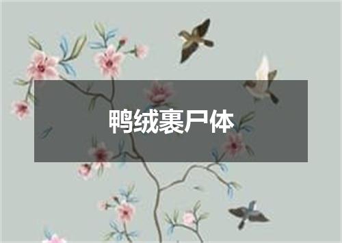 鸭绒裹尸体