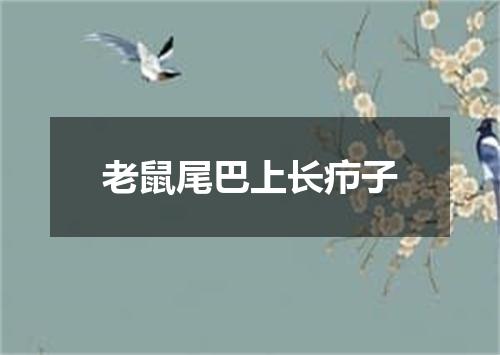 老鼠尾巴上长疖子
