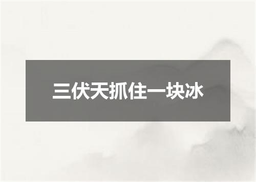 三伏天抓住一块冰