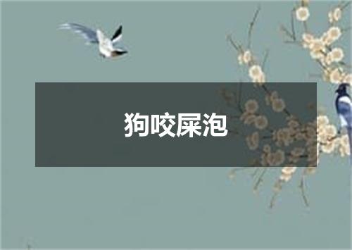 狗咬屎泡