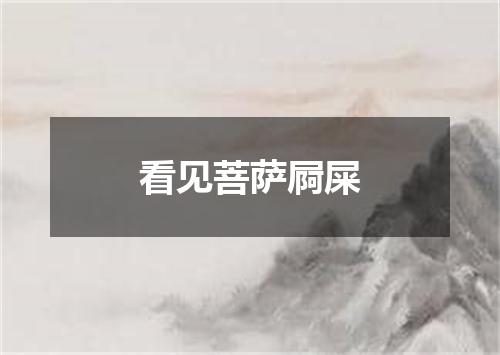 看见菩萨屙屎