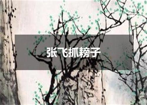 张飞抓耪子