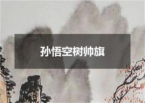 孙悟空树帅旗