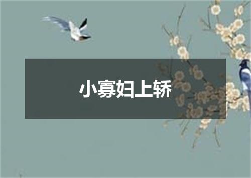 小寡妇上轿