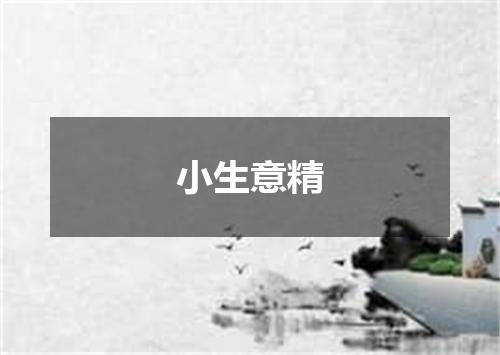 小生意精