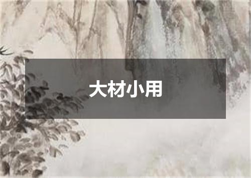 大材小用