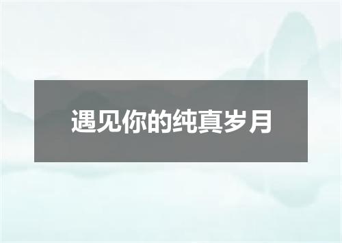 遇见你的纯真岁月