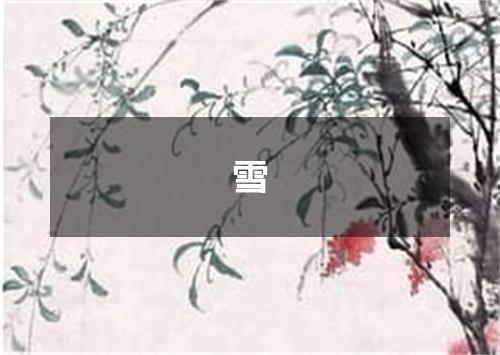 雪